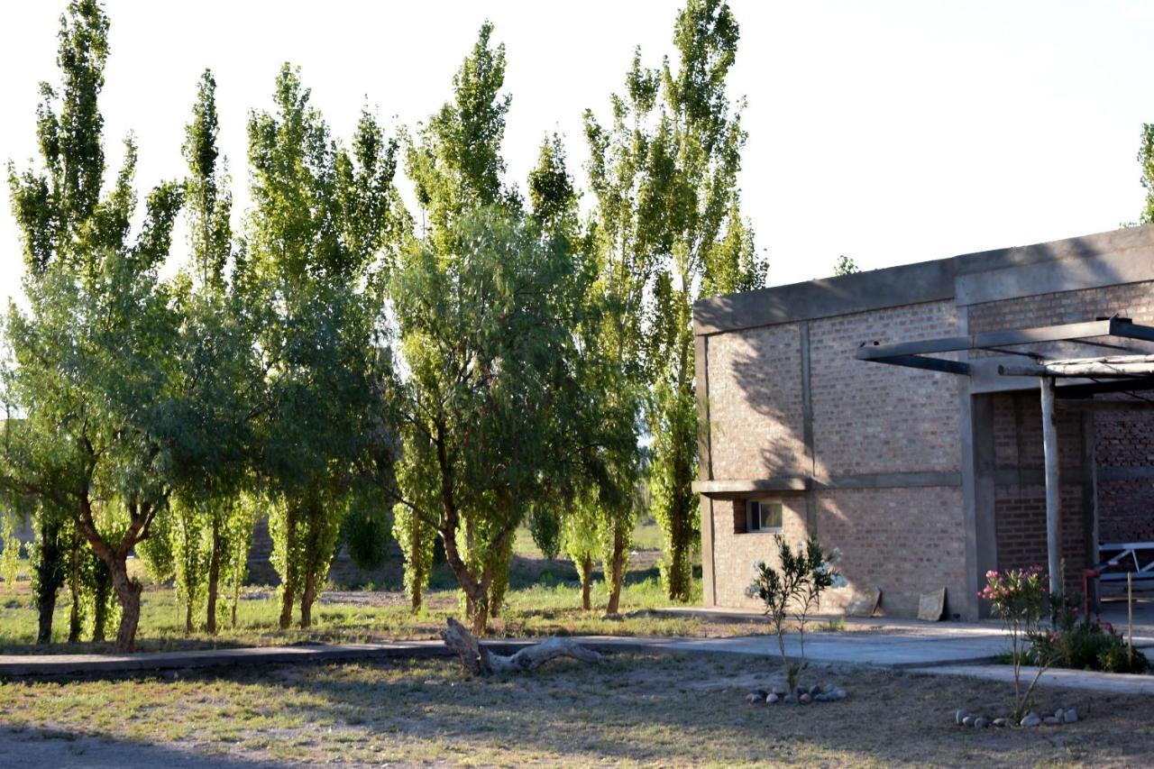 Cabanas De La Bodega Romano-Pin Albardon Екстер'єр фото