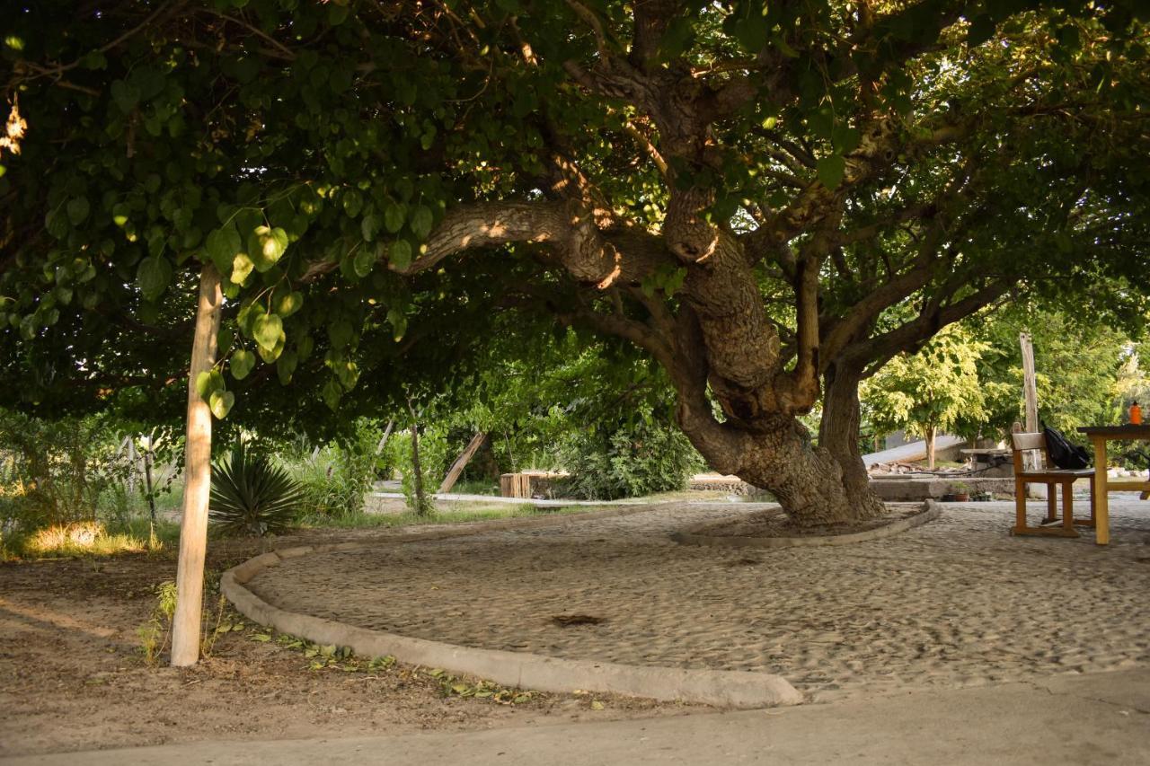Cabanas De La Bodega Romano-Pin Albardon Екстер'єр фото