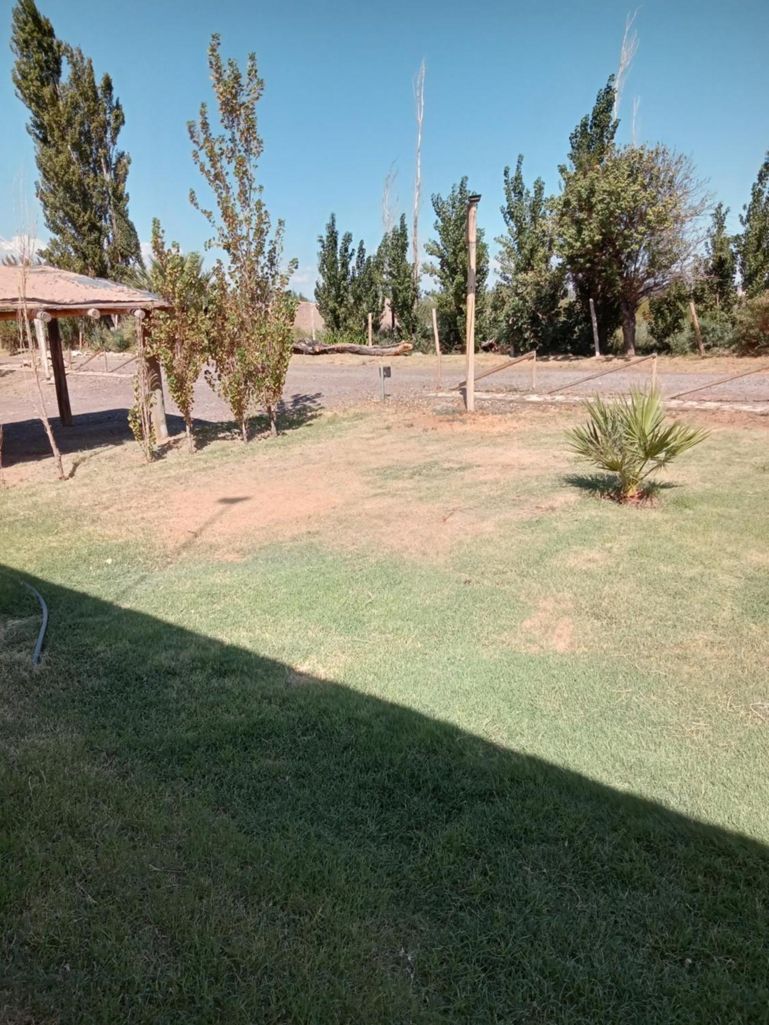 Cabanas De La Bodega Romano-Pin Albardon Екстер'єр фото