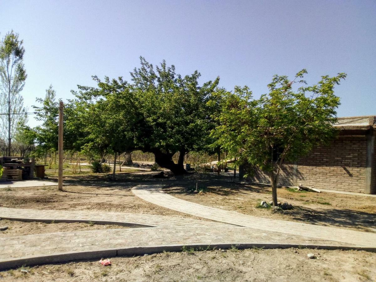 Cabanas De La Bodega Romano-Pin Albardon Екстер'єр фото